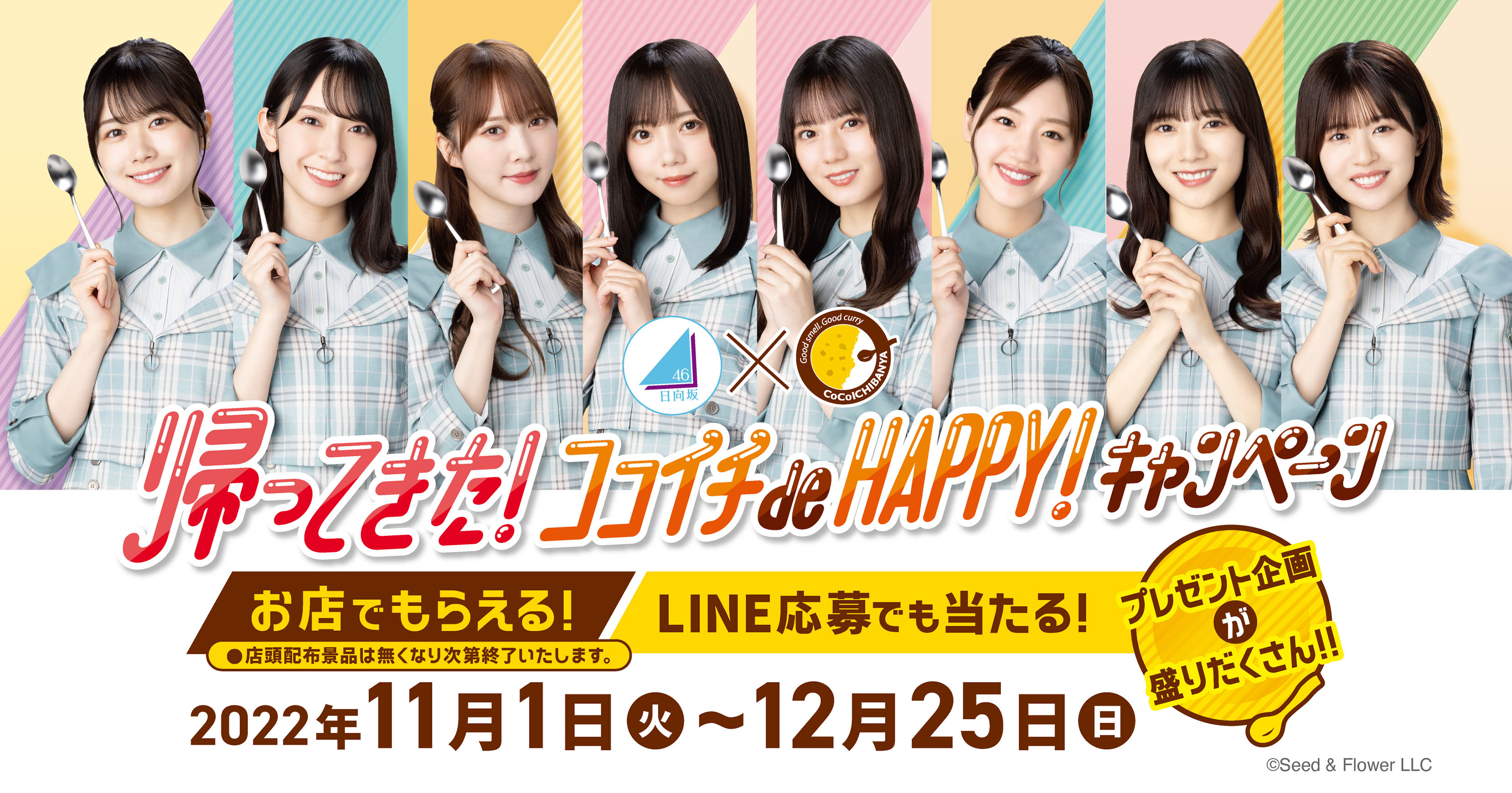 2022年11月1日(火)～12月25日(日)カレー... | ニュース | 日向坂46公式